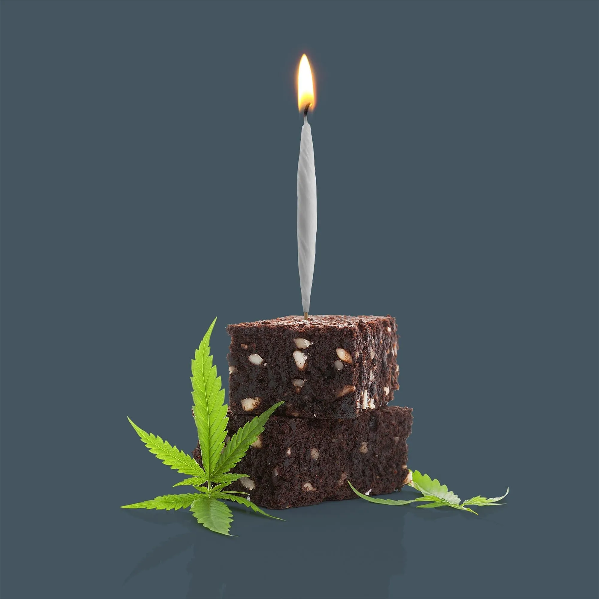 LIT